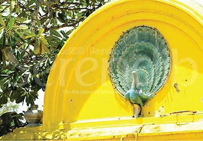 The peacock, vehicle of God Skanda, seen on the outer wall of the devale compound
