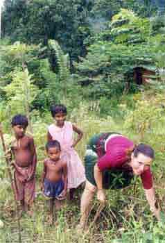 Daily work in the garden