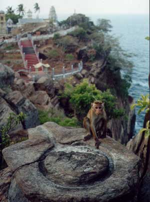 view of Koneswaram Temple, Trincomalee.
