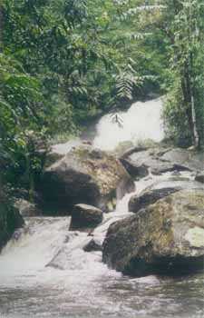 Water cascades down the moutains year round
