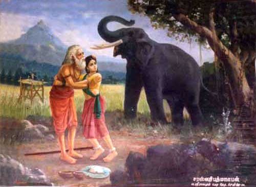 Old Man Murugan 'saves' Valli from rogue elephant Ganapati